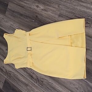 White House Black Market runway dress. This dress was on their TV commercials.